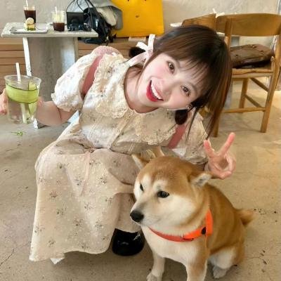 三个盗贼和狮子